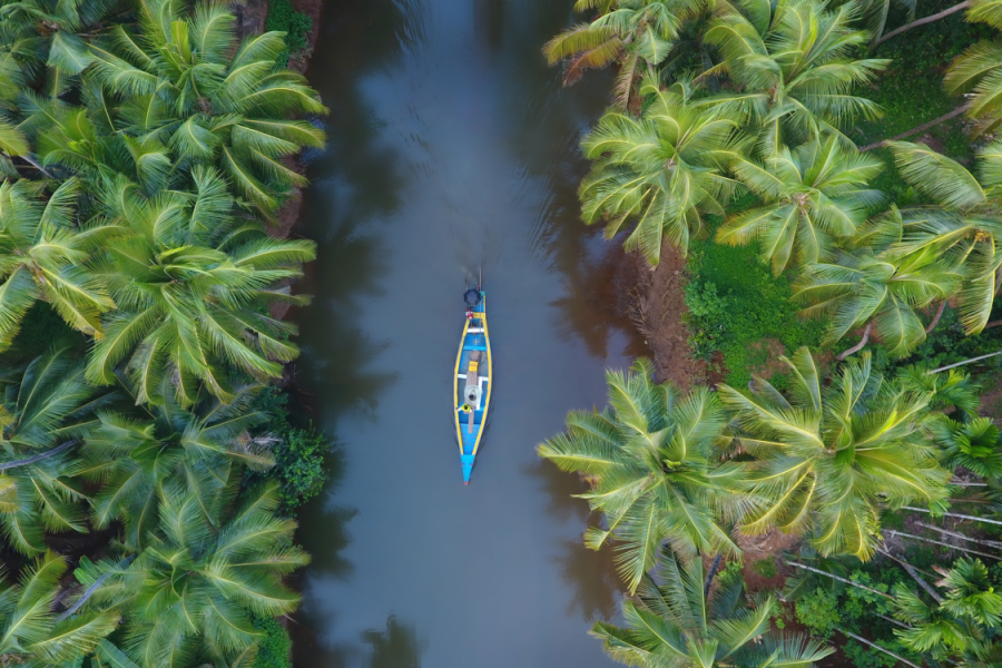 Kerala Honeymoon Diaries – 5 Days Tour
