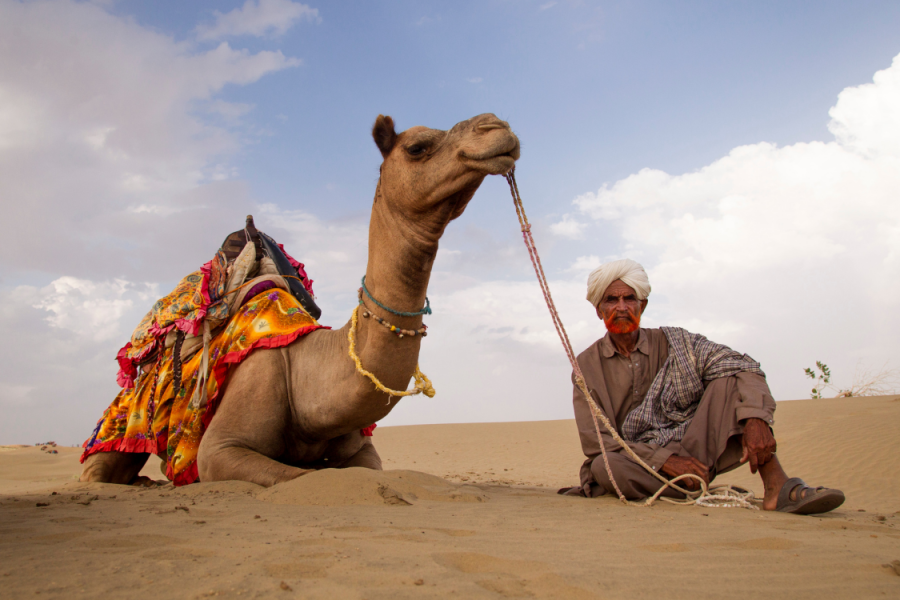 Jodhpur to Jaipur via Jaisalmer