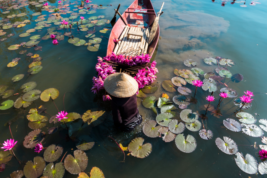 Lotus d’Orient Cruise – 2D/1N Halong & Lan Ha Bay Luxury Experience