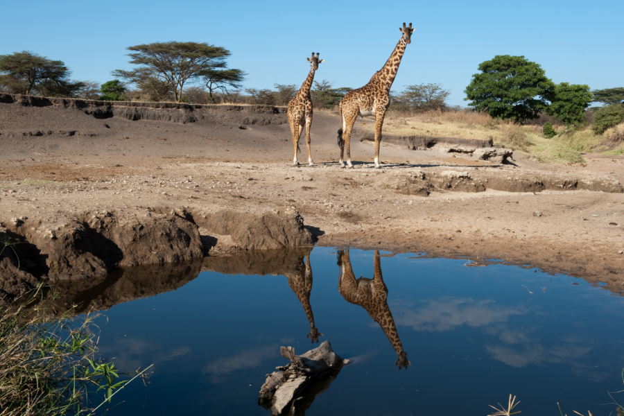 5 Nights / 6 Days Kenya Road Safari – Nairobi, Nyahururu, Rift Valley & Masai Mara