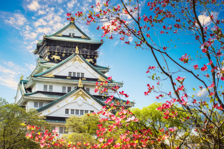 Japan Highlights Tour – Tokyo, Hakone, Kyoto, Osaka & Hiroshima (11N/12D)